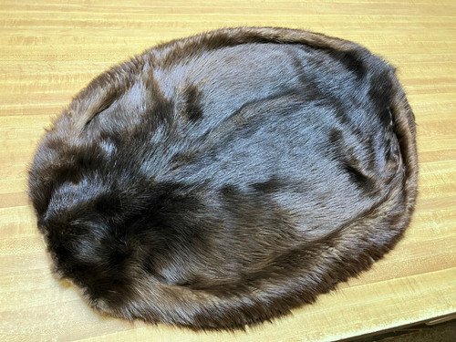 Tanned black phase beaver - phase, hide