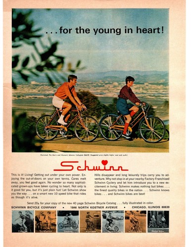 1968 schwinn bicycle - 1968,
