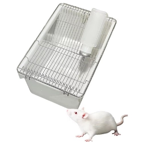 Mouse rat rodent - cage, with