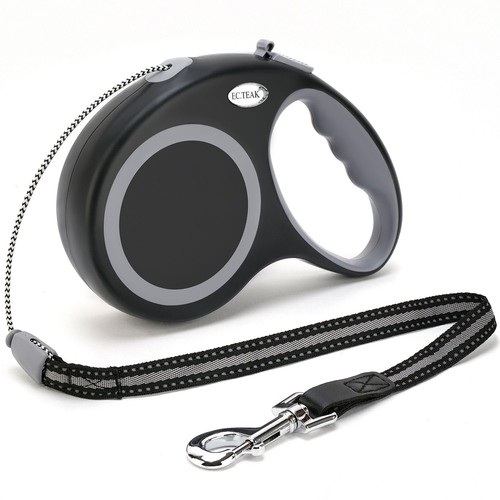 Retractable dog leash - dog, leash,