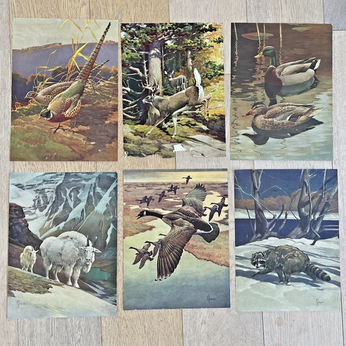 1944 outdoor life prints - prints, x6