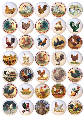 Set chickens roosters - of,