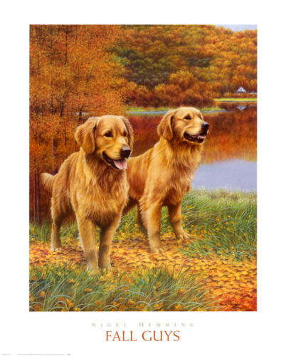 Fall guys nigel hemming art - fall,