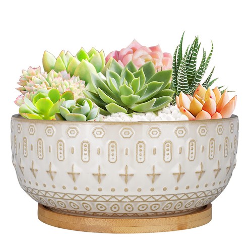 Ceramic succulent planter pot - succulent,