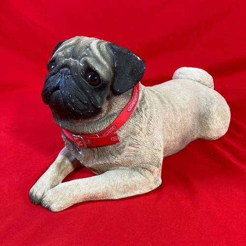 Sandicast sandra brue pug - sandicast,