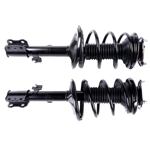Front strut assembly shocks - front,
