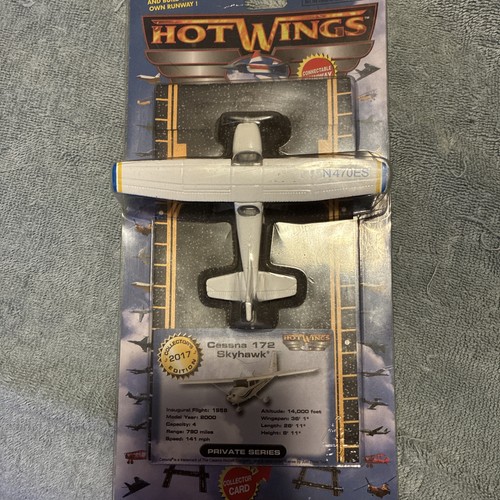 Hot wings 13107 plane - hot,
