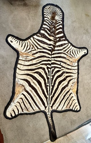 Vintage real zebra skin - skin, hide