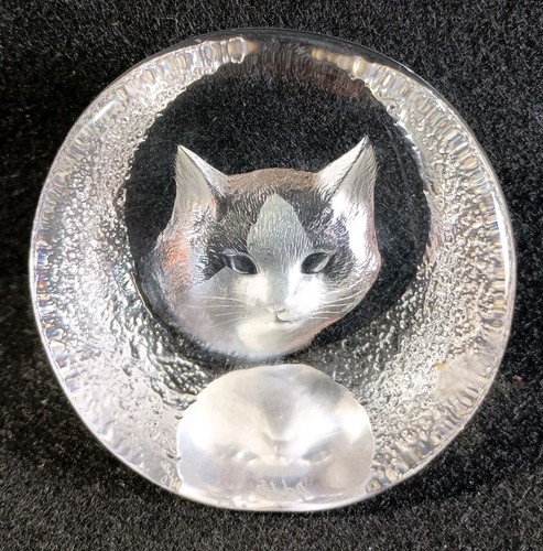 Mats jonasson cat kitten - mats,
