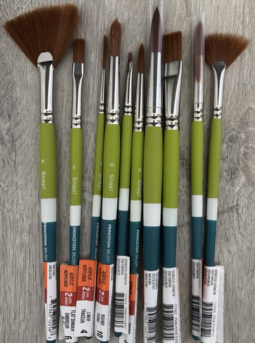 10pc princeton snap - snap!, paint