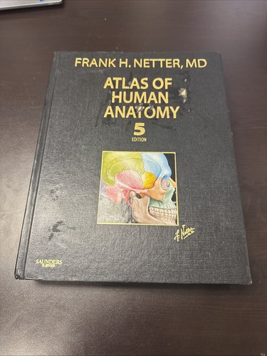 Atlas human anatomy 5th - of,