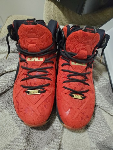 Nike lebron james xii - lebron,