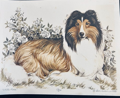 Shetland sheepdog signed - sheepdog,