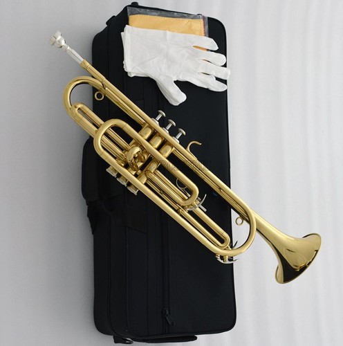 Brand new bass trumpet key - new,