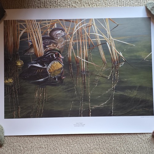 2004 ducks unlimited - 2004,