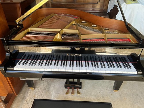 1999 kawai player - kawai, baby