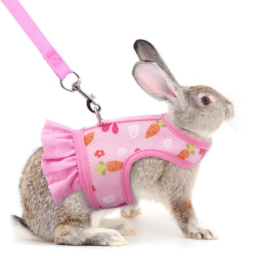Cute bunny harness and - and, leash