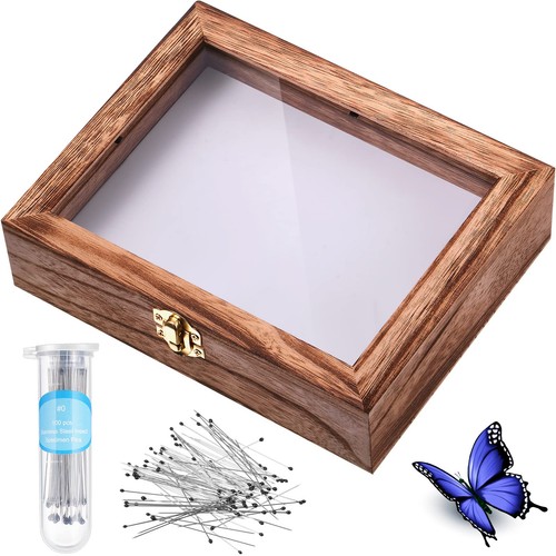 Willbond insect display case - insect,