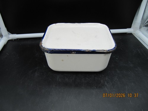 White navy blue square - white,