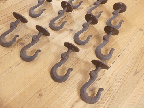 Ceiling hooks hanging - ceiling, plant