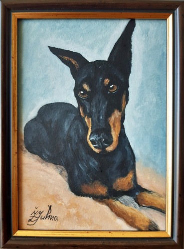 Doberman original oil painting - oil,