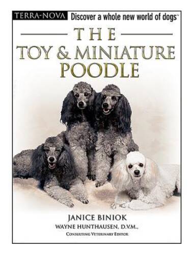 The toy miniature poodle - the,