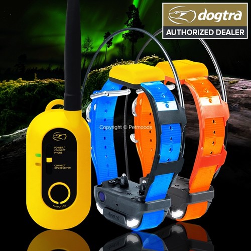 Dogtra pathfinder2 gps - pathfinder2,