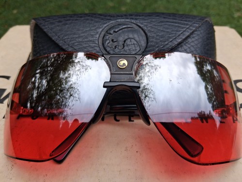 Gargoyles sunglasses - gargoyles,