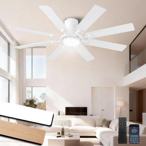 Ceiling fans with - ceiling, lights,