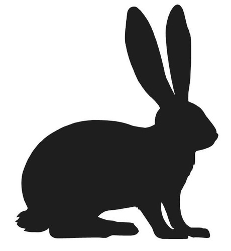 Rabbit silhouette sticker - silhouette, cute