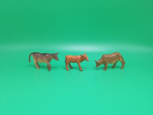 Bull cattle male bovine - cattle, calf