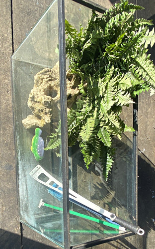 Glass rectangle aquarium - rectangle, 32