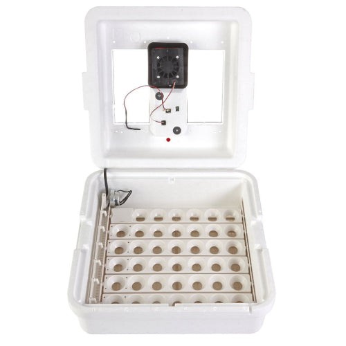 Little giant egg incubator - little,