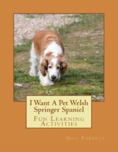 Want pet welsh - want, springer