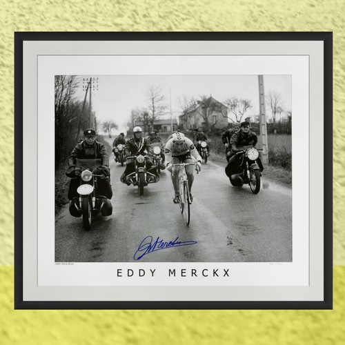 Eddy merckx signed print - merckx,