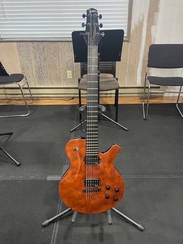 Parker pm20 guitar - parker,