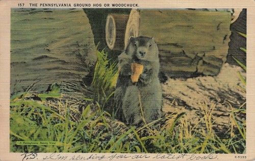 Vintage pennsylvania ground - vintage,