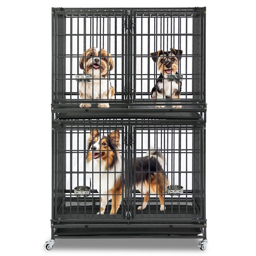 Two levels stackable - stackable, dog