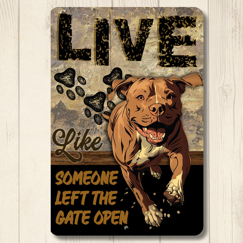 Pit bull live like someone - live,