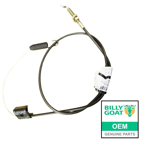 Genuine billy goat - billy,
