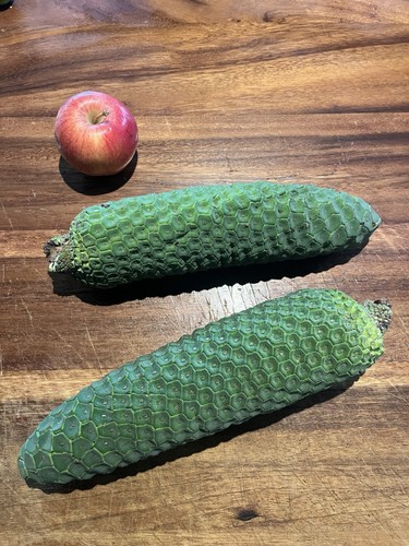 Giant organic hawaii - organic,