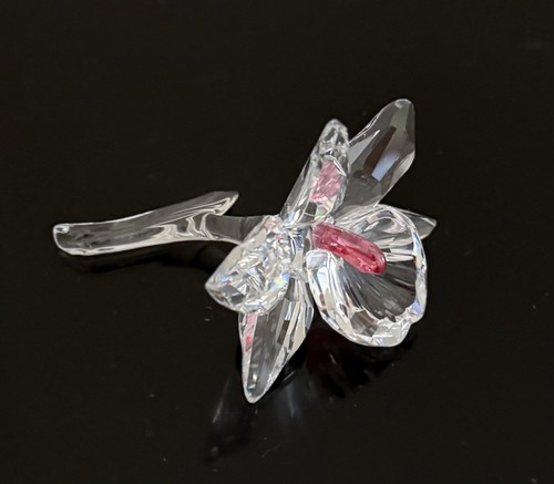Swarovski crystal pink - crystal, orchid