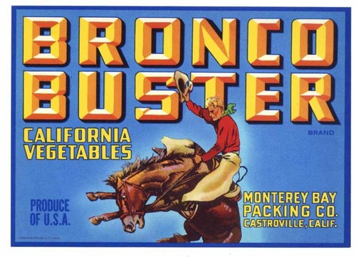 Bronco buster vintage - buster,