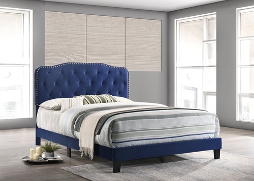 Navy blue velvet upholstered - navy,