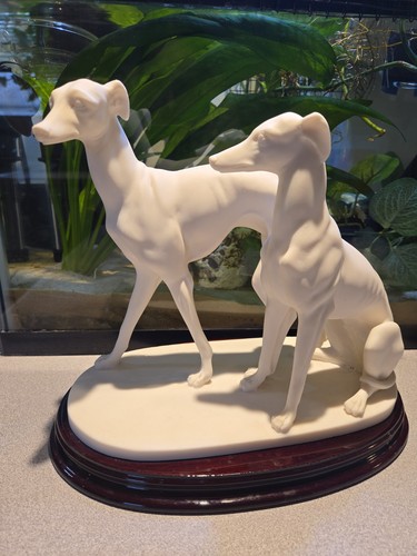 Ennio furiesi grey hound - grey,
