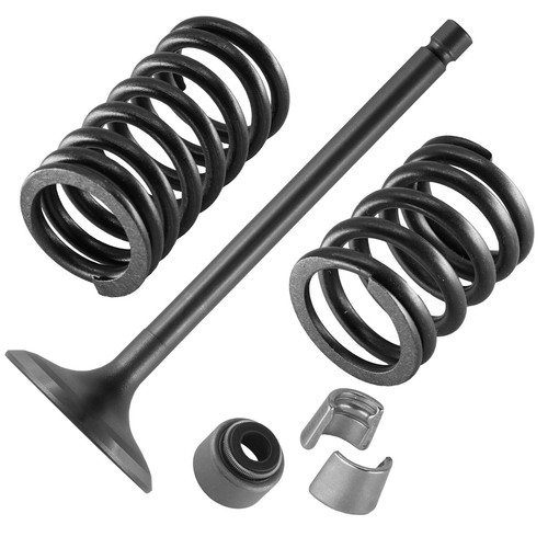 Intake valve kit - intake,