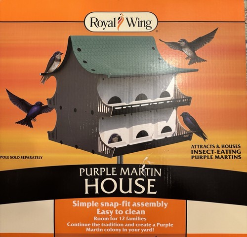 Royal wing purple - wing,