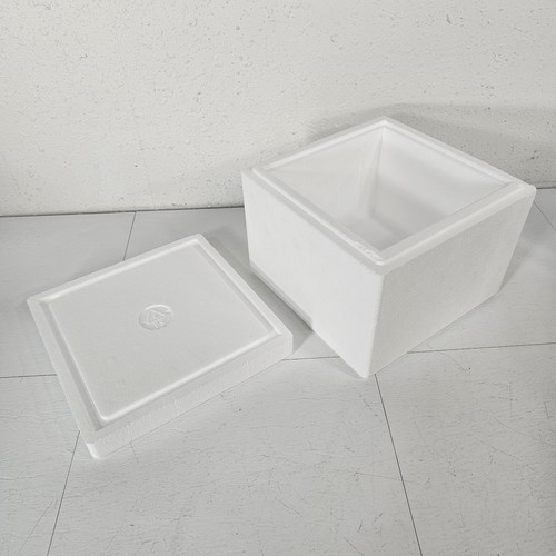 Styrofoam insulated shipping - styrofoam,