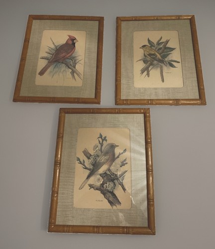 Vintage three bird - three, picture
