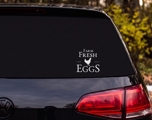 Farm fresh eggs - farm, vinyl